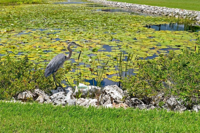 details featuring a small pond