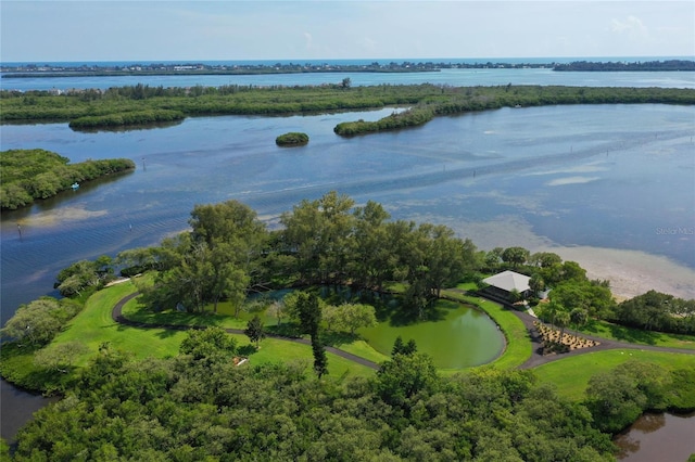 aerial view with a water view