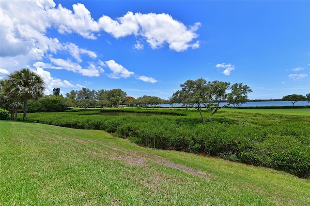 view of yard with a water view