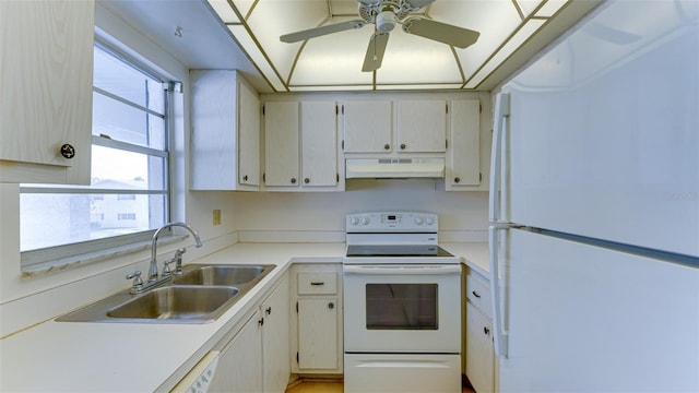 kitchen featuring ceiling fan, white appliances, and sink