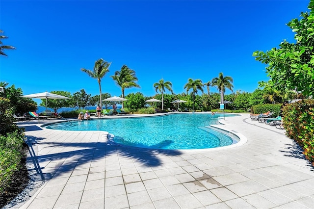 view of swimming pool featuring a patio area