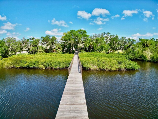 1707 Rio Vista Ter, Parrish, FL 34219 - photo 15