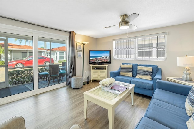 living room featuring ceiling fan and wood-type flooring