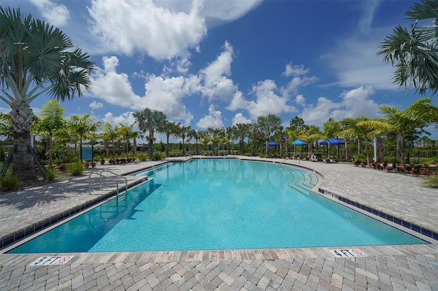 view of swimming pool