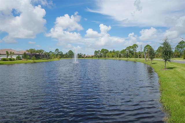 view of water feature