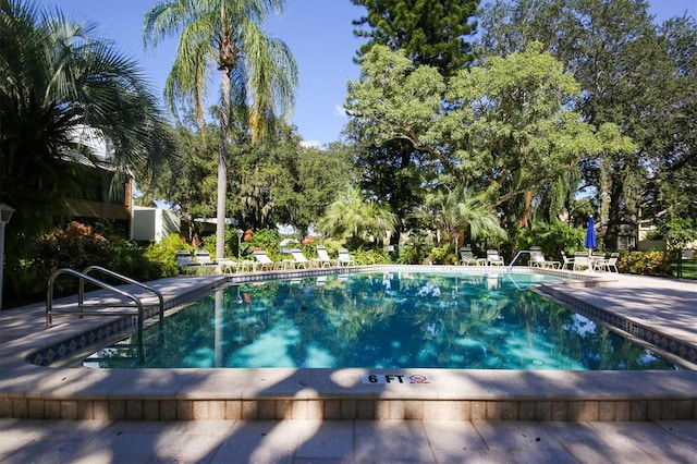 view of swimming pool