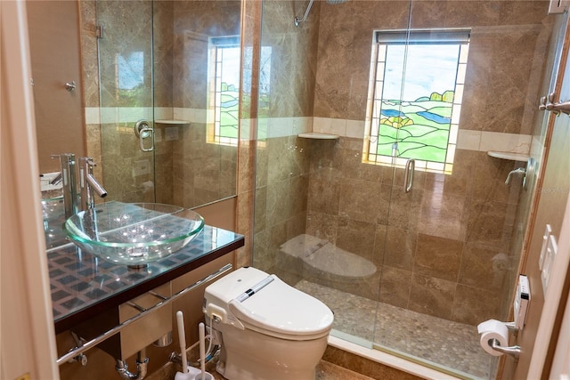 bathroom with vanity, a healthy amount of sunlight, an enclosed shower, and toilet