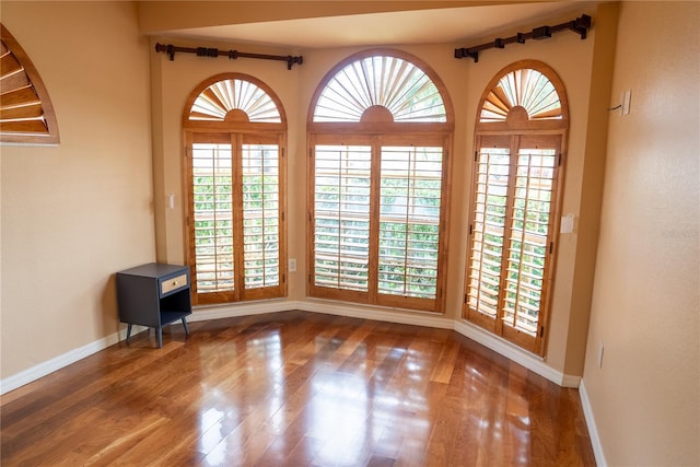 empty room featuring hardwood / wood-style flooring and a healthy amount of sunlight