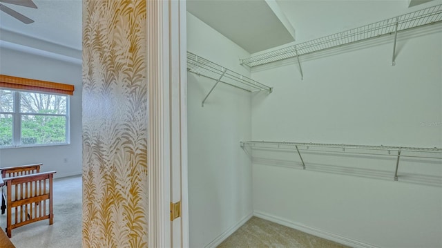 spacious closet featuring light colored carpet