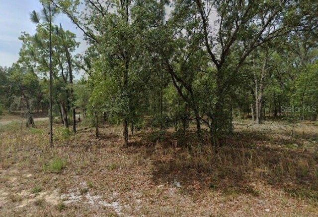 1592 W Swanson Dr, Citrus Springs FL, 34434 land for sale