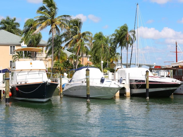 dock area featuring a water view