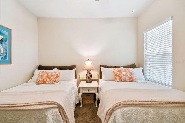 4618 Deep Creek Ter, Parrish, FL 34219 - view of carpeted bedroom
