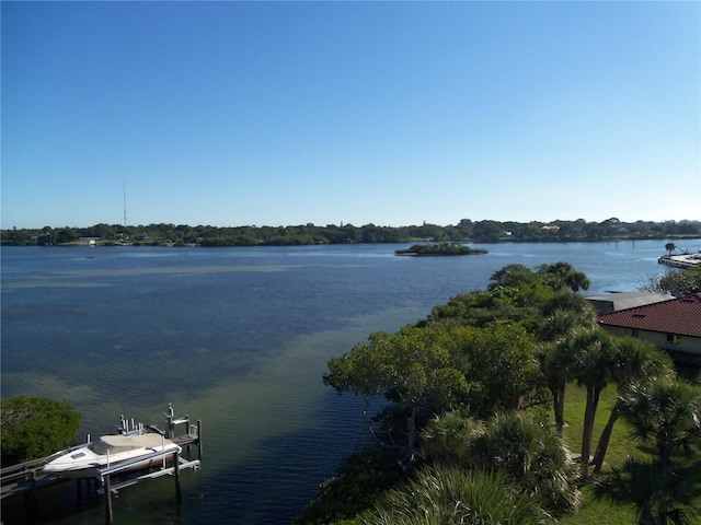 property view of water with a boat dock