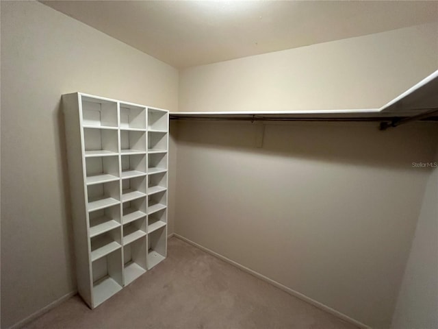 walk in closet featuring light colored carpet