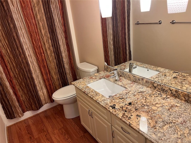 bathroom featuring toilet, vanity, and wood-type flooring