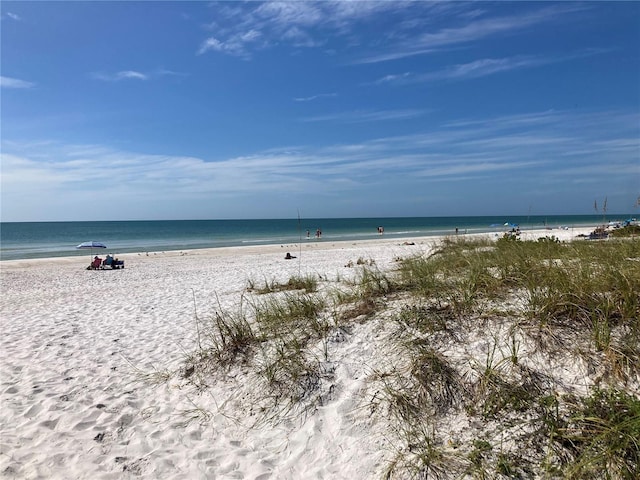 water view featuring a beach view