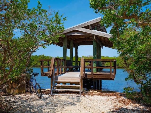 dock area with a water view