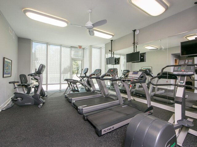 340 S Palm Ave Unit 15, Sarasota, FL 34236 - exercise room featuring a ceiling fan and a wall of windows