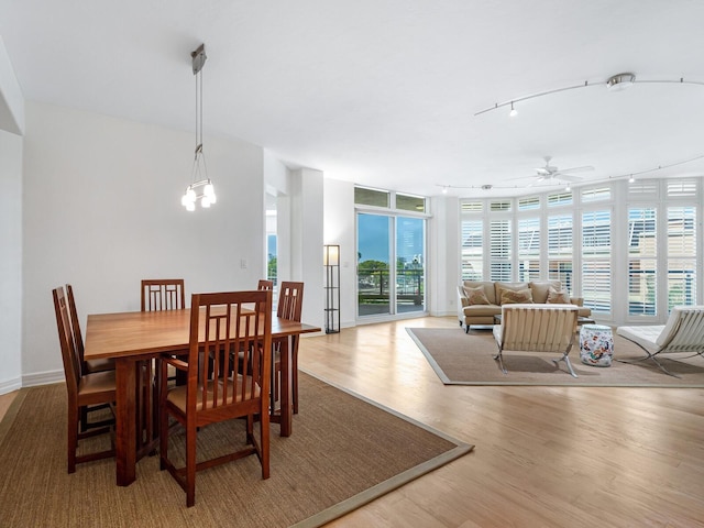 dining area featuring expansive windows, light hardwood / wood-style floors, and ceiling fan