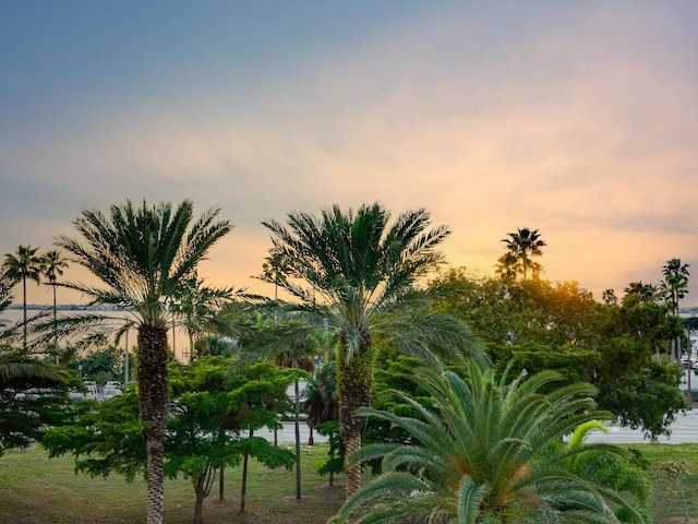 view of nature at dusk