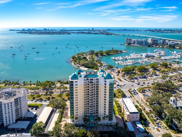 bird's eye view with a water view