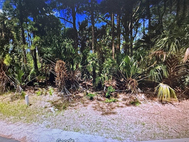 271 J T Sancho St SW, Palm Bay FL, 32908 land for sale