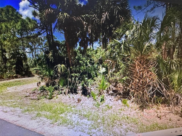 Listing photo 2 for 271 J T Sancho St SW, Palm Bay FL 32908