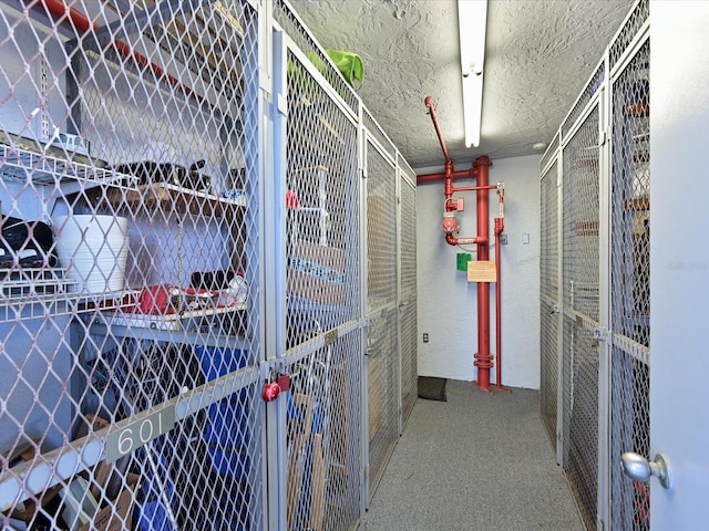 view of storage area