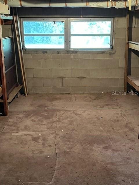 basement featuring concrete block wall