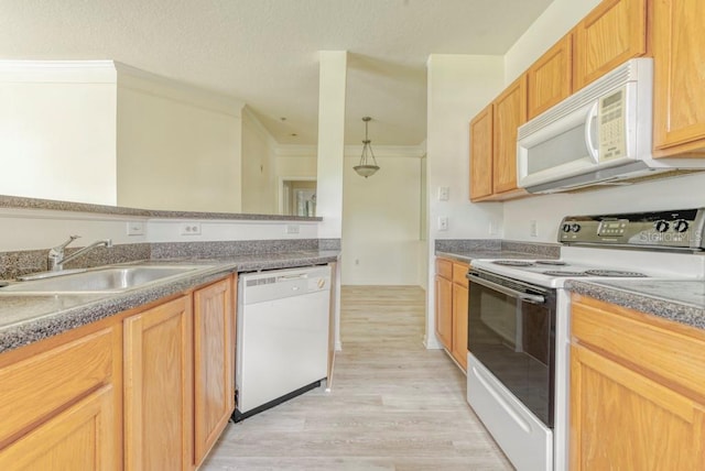 kitchen with sink, white appliances, light hardwood / wood-style floors, light brown cabinets, and pendant lighting