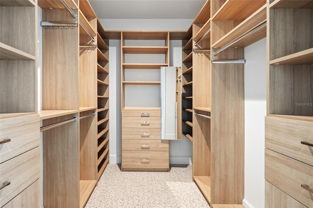 view of walk in closet