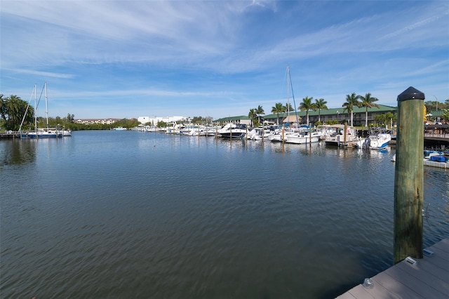 dock area featuring a water view