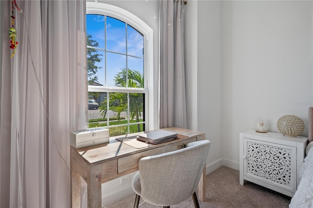 home office with dark carpet