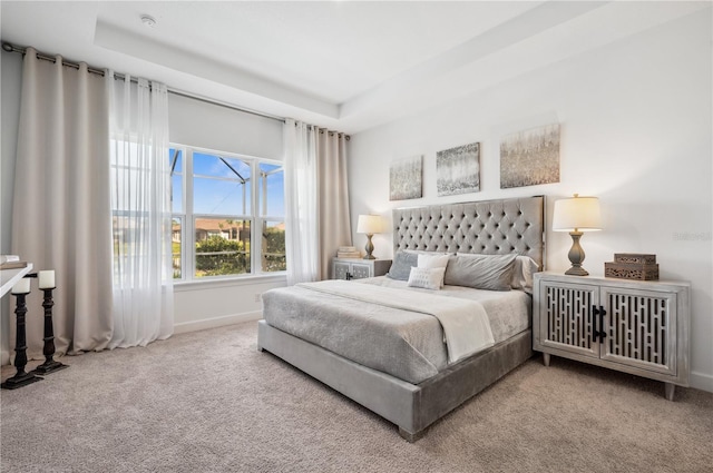 carpeted bedroom featuring a tray ceiling