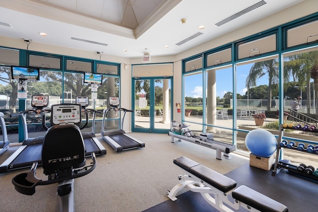 exercise room featuring crown molding, a raised ceiling, and carpet floors