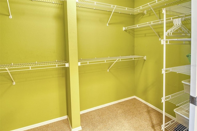 walk in closet with carpet