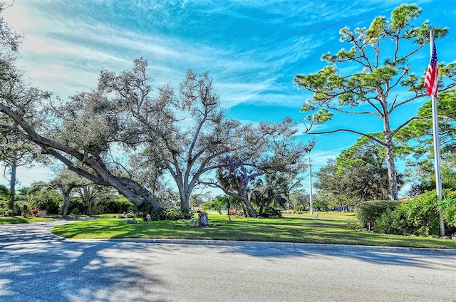 view of road