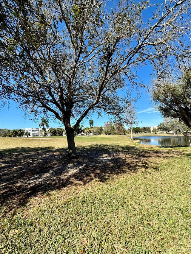 view of yard with a water view