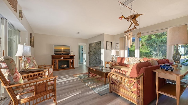 living room with dark hardwood / wood-style floors