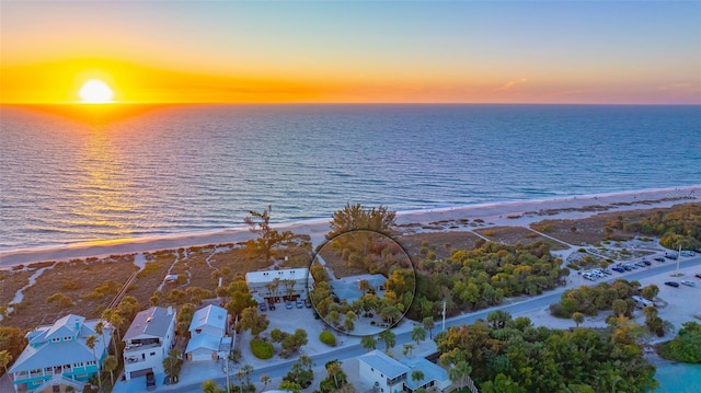 water view featuring a beach view