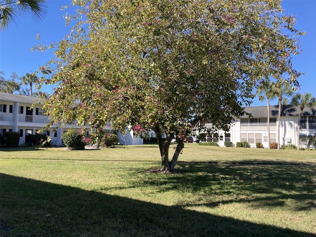 view of yard with a balcony