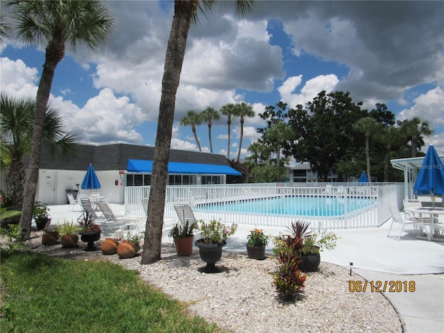 view of swimming pool with a patio area