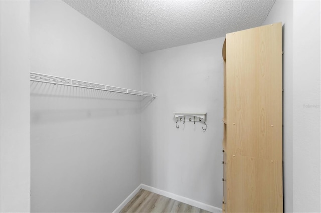 walk in closet featuring light hardwood / wood-style floors