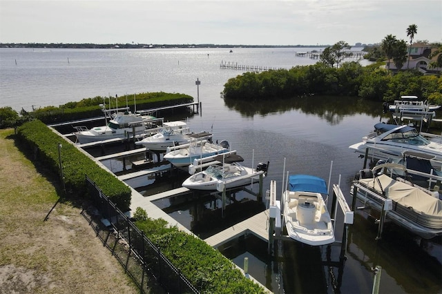 dock area with a water view