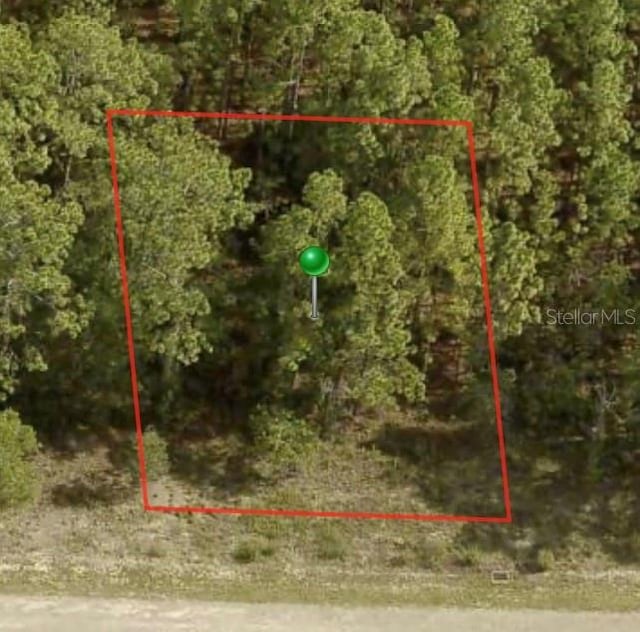 1233 W Riley Dr, Citrus Springs FL, 34434 land for sale