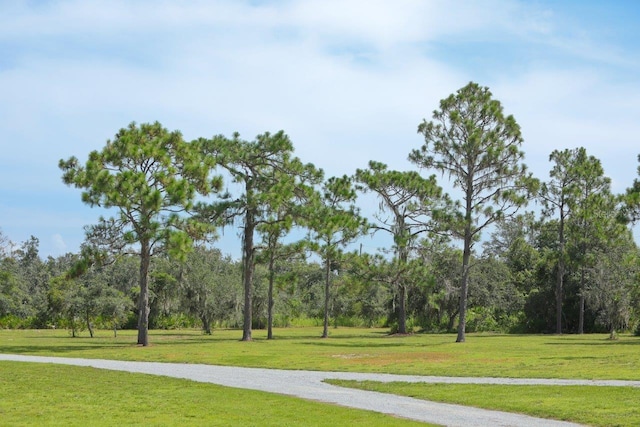 view of property's community featuring a yard