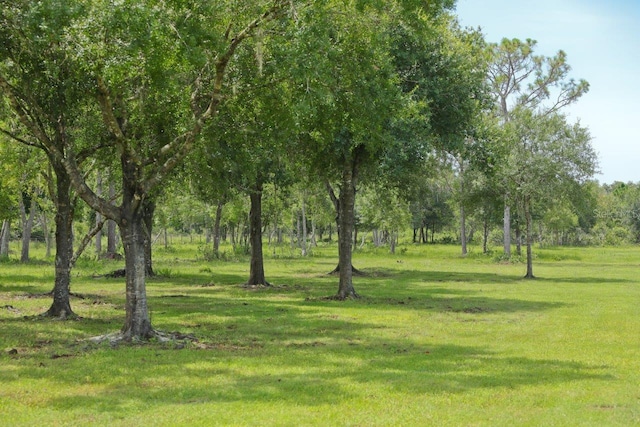 view of property's community with a yard