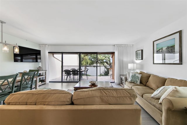 living room featuring hardwood / wood-style flooring