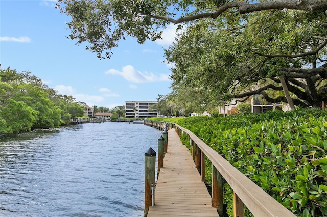 dock area featuring a water view