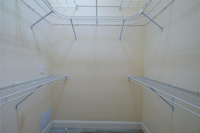 view of spacious closet